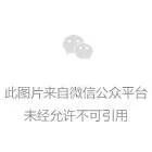 宁波看见阳光就忧郁的植物