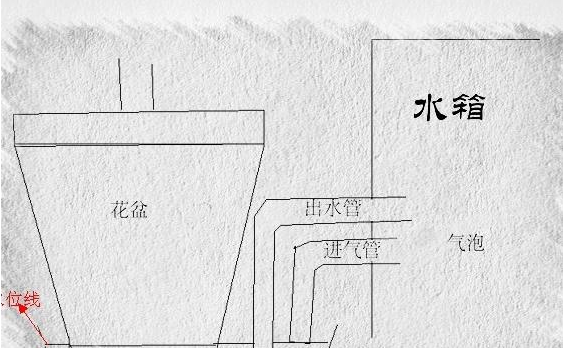 宁波7种简易的自动浇水装置，春节回家不担心植物死