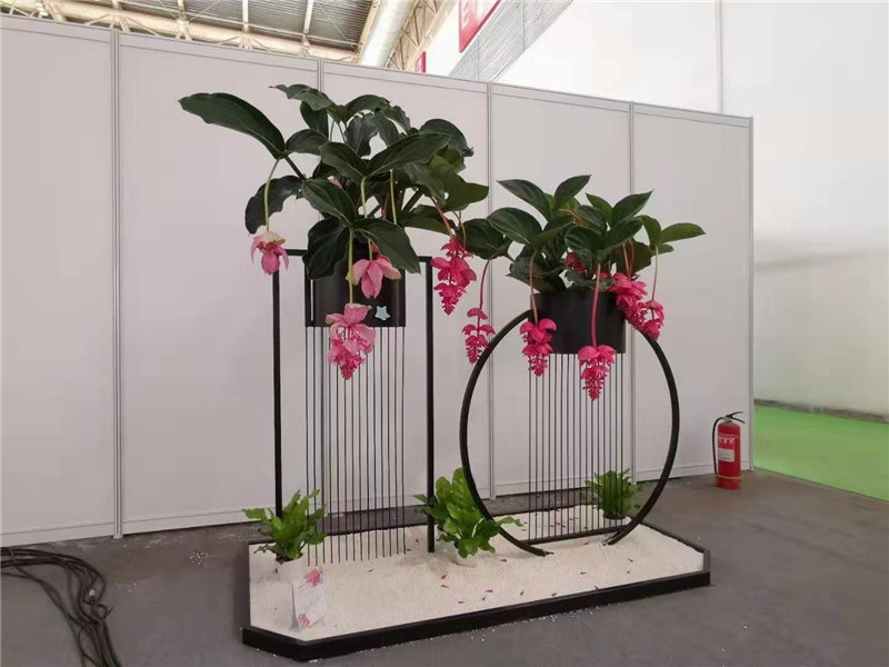 宁波花架组合