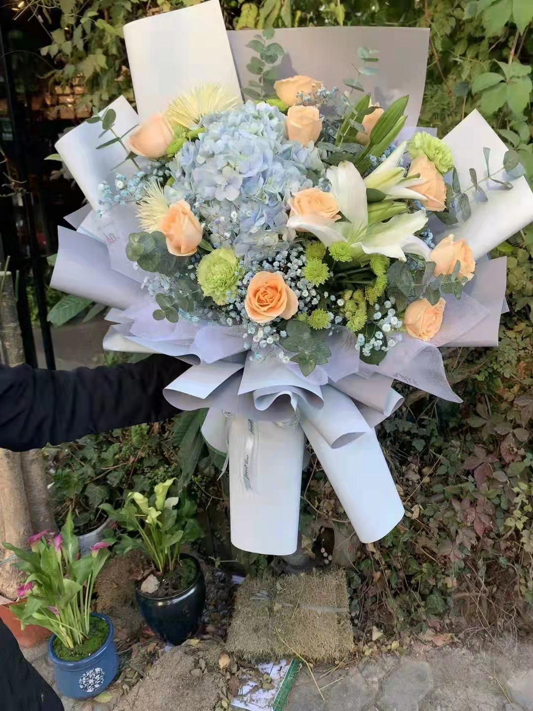 宁波鲜花
