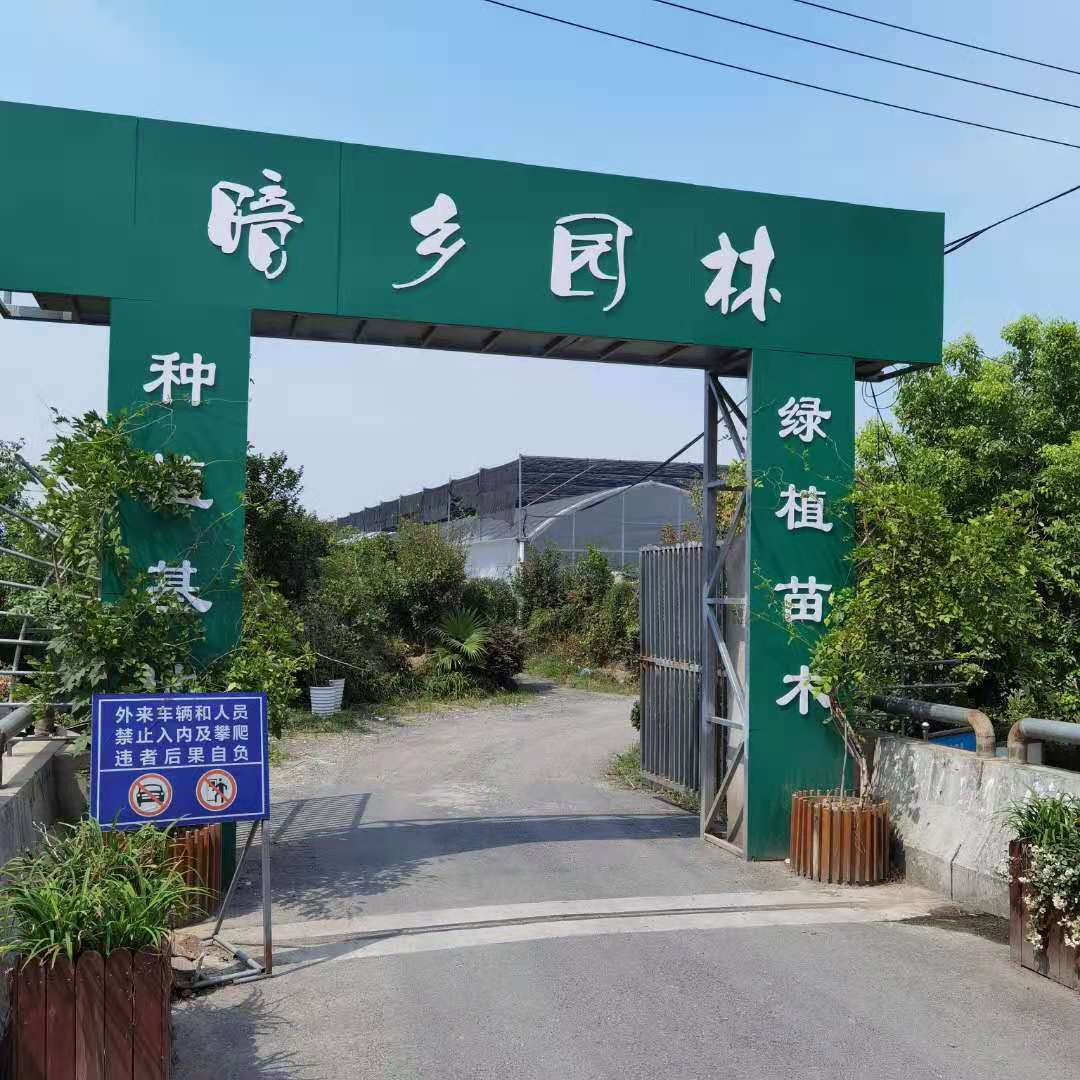 宁波暗乡园林怎么样-绿植租赁